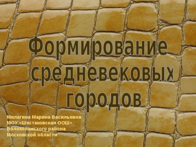 Милагина Марина Васильевна МОУ «Шестаковская ООШ» Волоколамского района Московской области 