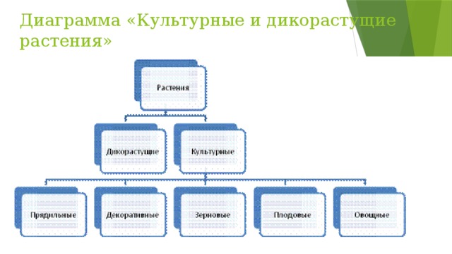 Диаграмма «Культурные и дикорастущие растения» 