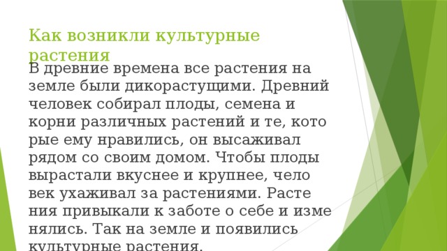 Как возникли культурные растения В древ­ние вре­ме­на все рас­те­ния на земле были ди­ко­рас­ту­щи­ми. Древ­ний че­ло­век со­би­рал плоды, се­ме­на и корни раз­лич­ных рас­те­ний и те, ко­то­рые ему нра­ви­лись, он вы­са­жи­вал рядом со своим домом. Чтобы плоды вы­рас­та­ли вкус­нее и круп­нее, че­ло­век уха­жи­вал за рас­те­ни­я­ми. Рас­те­ния при­вы­ка­ли к за­бо­те о себе и из­ме­ня­лись. Так на земле и по­яви­лись куль­тур­ные рас­те­ния. 