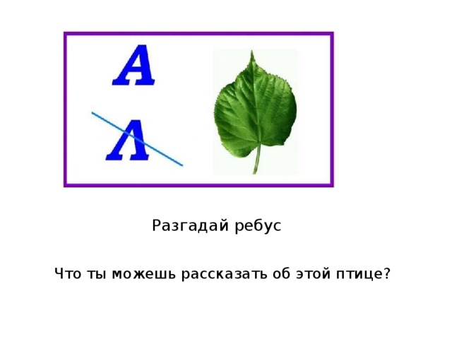 Разгадай ребус Что ты можешь рассказать об этой птице? 