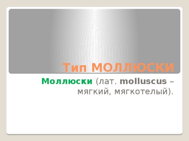 Тип МОЛЛЮСКИ Моллюски  (лат. molluscus – мягкий, мягкотелый). 
