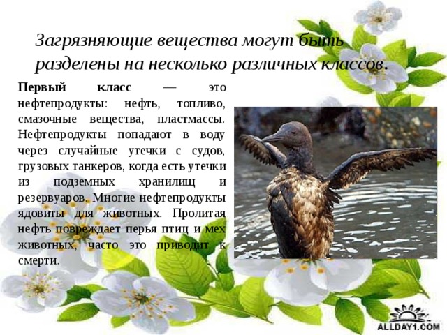 Загрязняющие вещества могут быть разделены на несколько различных классов .  Первый класс — это нефтепродукты: нефть, топливо, смазочные вещества, пластмассы. Нефтепродукты попадают в воду через случайные утечки с судов, грузовых танкеров, когда есть утечки из подземных хранилищ и резервуаров. Многие нефтепродукты ядовиты для животных. Пролитая нефть повреждает перья птиц и мех животных, часто это приводит к смерти. 