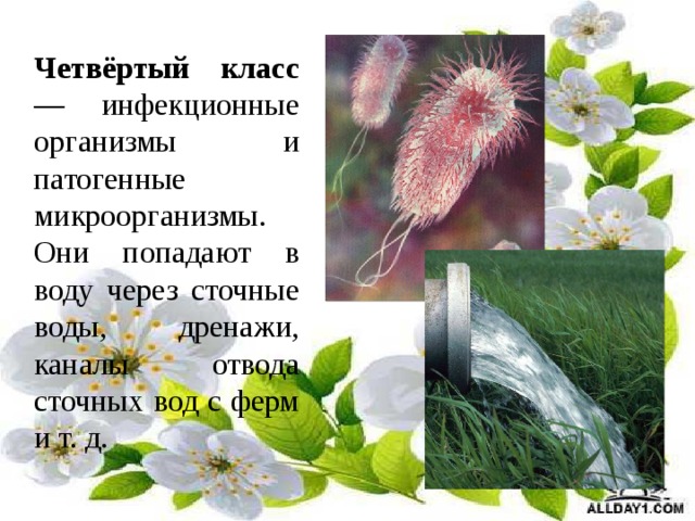 Четвёртый класс — инфекционные организмы и патогенные микроорганизмы. Они попадают в воду через сточные воды, дренажи, каналы отвода сточных вод с ферм и т. д. 