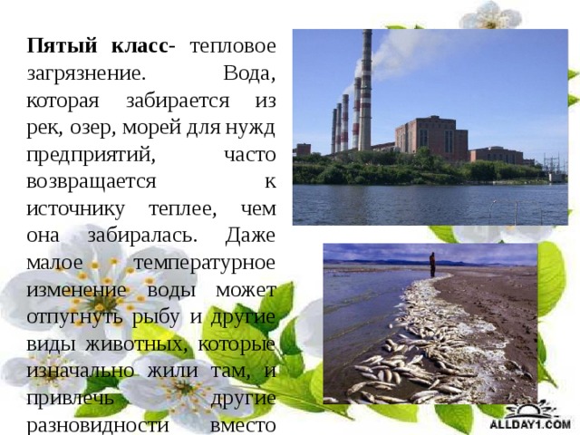 Пятый класс- тепловое загрязнение. Вода, которая забирается из рек, озер, морей для нужд предприятий, часто возвращается к источнику теплее, чем она забиралась. Даже малое температурное изменение воды может отпугнуть рыбу и другие виды животных, которые изначально жили там, и привлечь другие разновидности вместо них. 