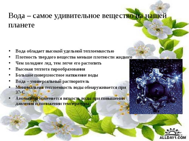 Вода – самое удивительное вещество на нашей планете Вода обладает высокой удельной теплоемкостью Плотность твердого вещества меньше плотности жидкого Чем холоднее лед, тем легче его растопить Высокая теплота парообразования Большое поверхностное натяжение воды Вода – универсальный растворитель Минимальная теплоемкость воды обнаруживается при 37 о С Аномально изменяется вязкость воды при повышении давления и понижении температуры 