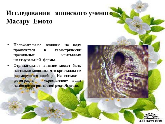 Исследования японского ученого Масару Емото Положительное влияние на воду проявляется в геометрически правильных кристаллах шестиугольной формы. Отрицательное влияние может быть настолько мощным, что кристаллы не формируются вообще. На снимке – фотография «кристаллов» воды наиболее загрязненной реки Японии. 