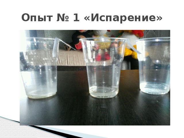 Опыт № 1 «Испарение» 