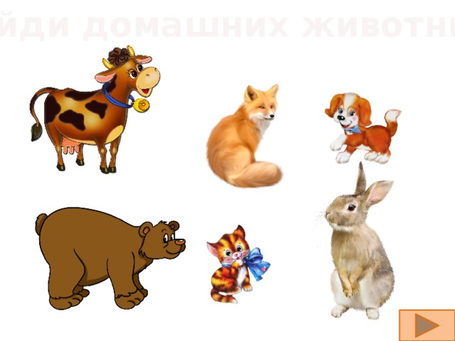 Найди домашних животных 