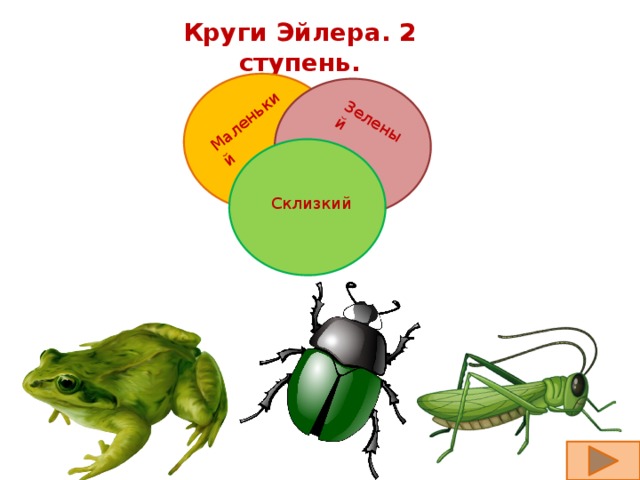 Маленький Зеленый Круги Эйлера. 2 ступень. Склизкий 