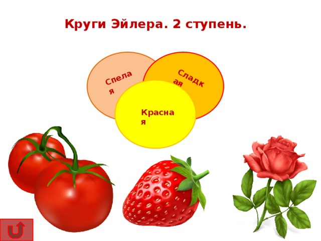 Спелая Сладкая Круги Эйлера. 2 ступень. Красная 