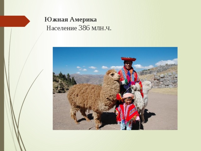 Южная Америка  Население 386 млн.ч.   