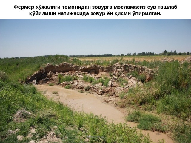Фермер хўжалиги томонидан зовурга мосламасиз сув ташлаб қўйилиши натижасида зовур ён қисми ўпирилган. www.arxiv.uz 