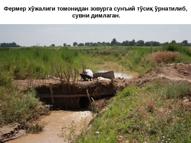 Фермер хўжалиги томонидан зовурга сунъий тўсиқ ўрнатилиб,  сувни димлаган. www.arxiv.uz 