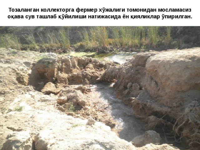 Тозаланган коллекторга фермер хўжалиги томонидан мосламасиз оқава сув ташлаб қўйилиши натижасида ён қияликлар ўпирилган . www.arxiv.uz 