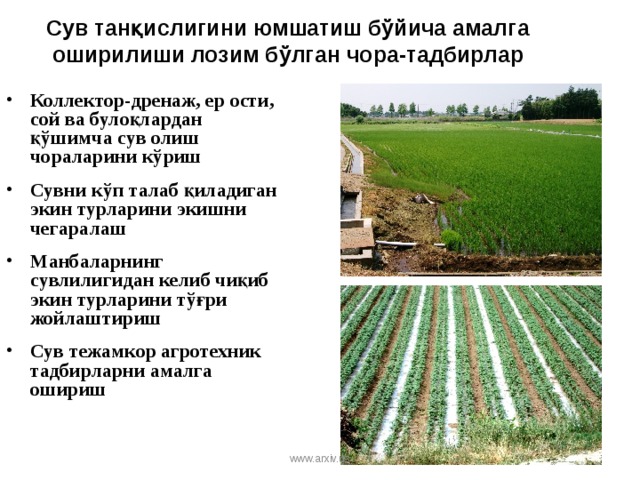 Сув танқислигини юмшатиш бўйича амалга оширилиши лозим бўлган чора-тадбирлар Коллектор-дренаж, ер ости, сой ва булоқлардан қўшимча сув олиш чораларини кўриш Сувни кўп талаб қиладиган экин турларини экишни чегаралаш Манбаларнинг сувлилигидан келиб чиқиб экин турларини тўғри жойлаштириш Сув тежамкор агротехник тадбирларни амалга ошириш www.arxiv.uz 