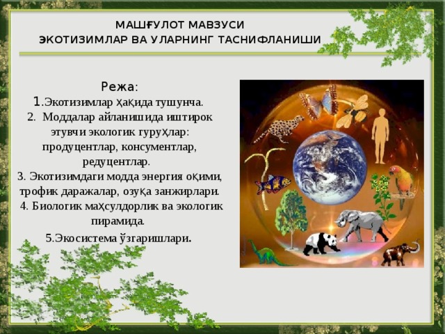 МАШҒУЛОТ МАВЗУСИ ЭКОТИЗИМЛАР ВА УЛАРНИНГ ТАСНИФЛАНИШИ Режа:  1. Экотизим лар ҳақида тушунча.  2. Моддалар айланишида иштирок этувчи экологик гуруҳлар: продуцентлар, консументлар, редуцентлар.  3. Экотизимдаги модда энергия оқими, трофик даражалар, озуқа занжирлари.  4. Биологик маҳсулдорлик ва экологик пирамида.  5.Экосистема ўзгаришлари .  