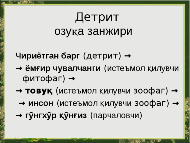  Детрит  озуқа занжири Чириётган барг  (детрит) → → ёмғир чувалчанги  ( истеъмол қилувчи фитофаг) → → товуқ  ( истеъмол қилувчи зоофаг) → → инсон  ( истеъмол қ и лувчи зоофаг) → → гўнгхўр қўнғиз  ( парчаловчи ) 