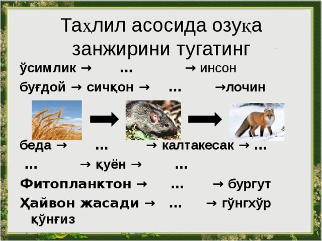 Таҳлил асосида озуқа занжирини тугатинг ўсимлик  →  …  →  инсон буғдой → сичқон →  …  → лочин   беда →  …  → калтакесак →  …  …  → қуён →  … Фитопланктон →  …  → бургут Ҳайвон жасади →  …  → гўнгхўр қўнғиз  