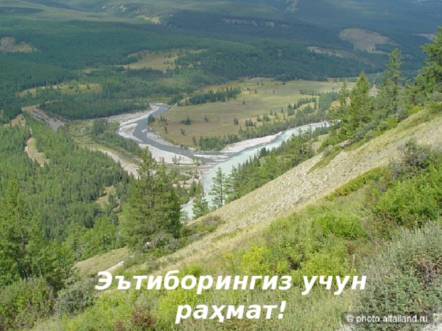 Эътиборингиз учун раҳмат! 06.06.18  