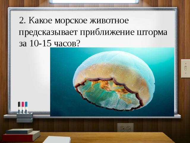 2. Какое морское животное предсказывает приближение шторма за 10-15 часов? 