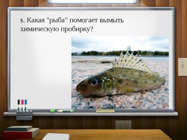 5 . Какая 