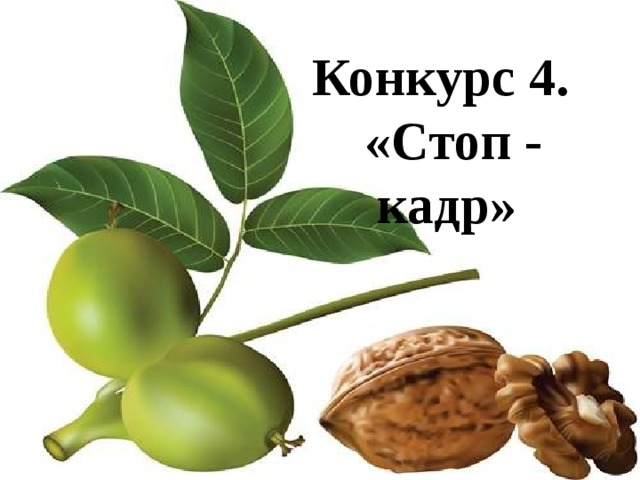 Конкурс 4. «Стоп - кадр» 