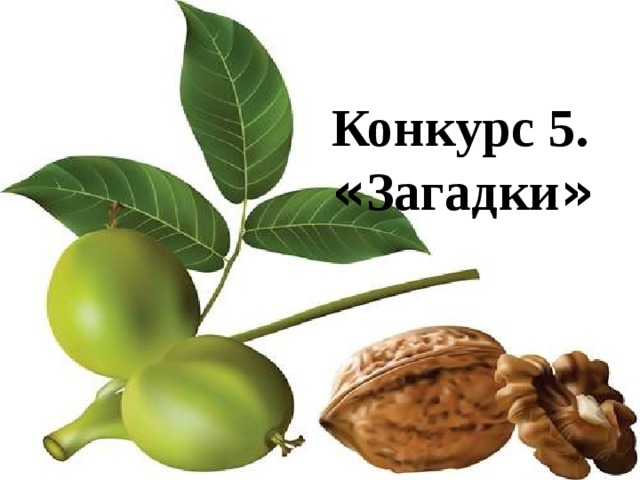  Конкурс 5. « Загадки » 