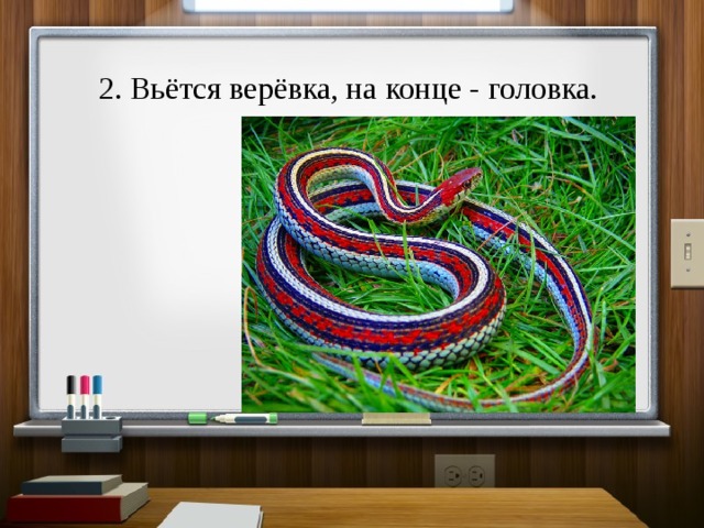 2. Вьётся верёвка, на конце - головка. 