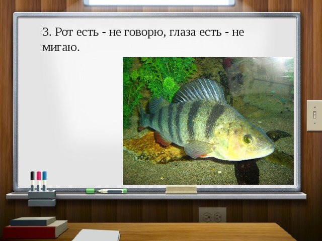 3. Рот есть - не говорю, глаза есть - не мигаю. 