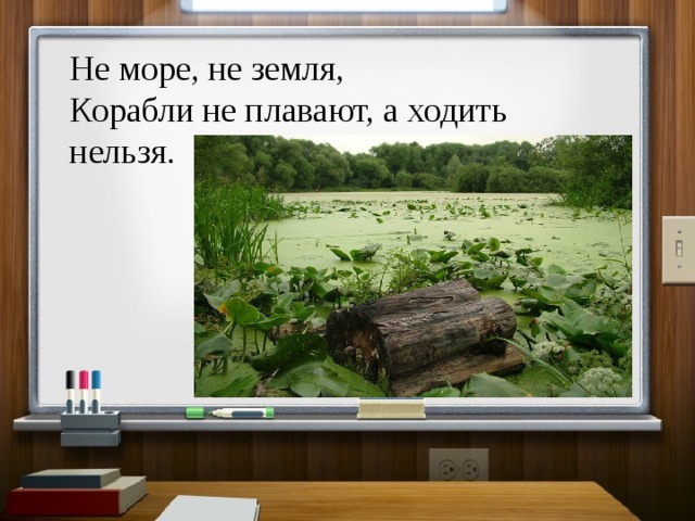 Не море, не земля,  Корабли не плавают, а ходить нельзя. 
