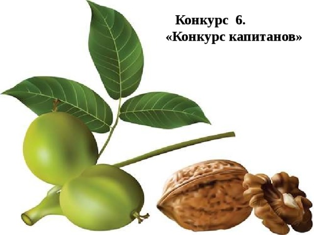  Конкурс 6. «Конкурс капитанов»  