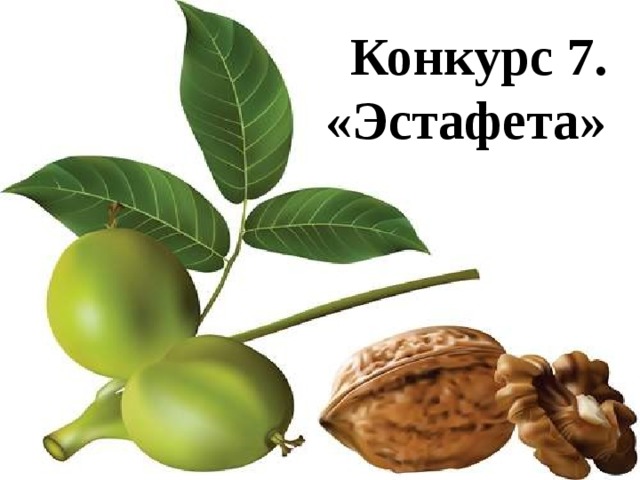 Конкурс 7. « Эстафета »  Конкурс 7. «Эстафета»  