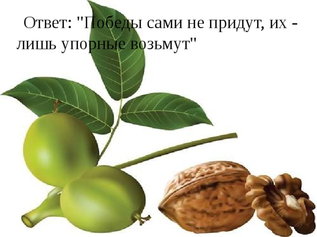 Ответ: 
