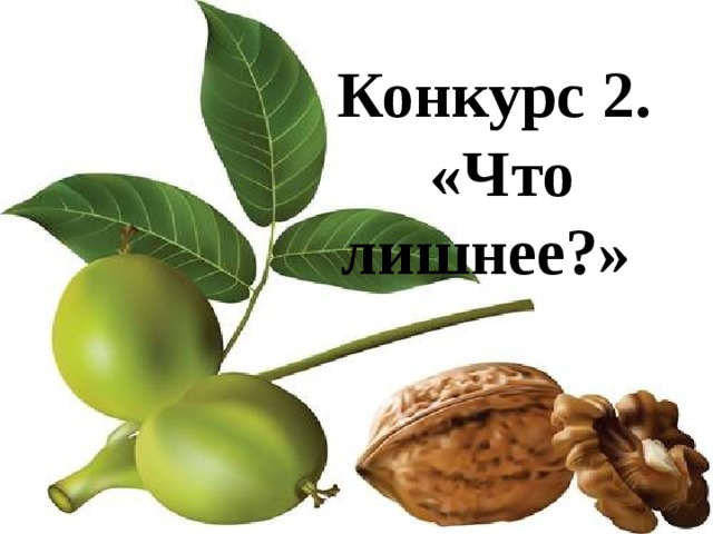 Конкурс 2.  «Что лишнее?»  