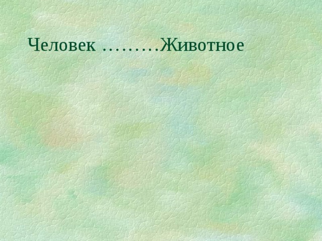 Человек ………Животное 