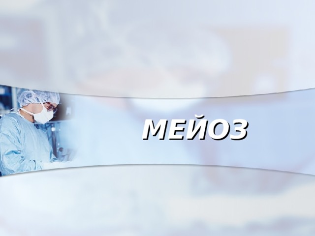  МЕЙОЗ  