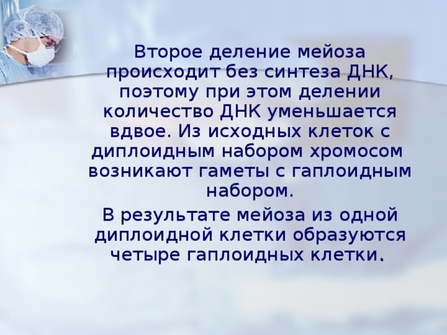   Второе деление мейоза происходит без синтеза ДНК, поэтому при этом делении количество ДНК уменьшается вдвое. Из исходных клеток с диплоидным набором хромосом  возникают гаметы с гаплоидным набором.  В результате мейоза из одной диплоидной клетки образуются четыре гаплоидных клетки . 