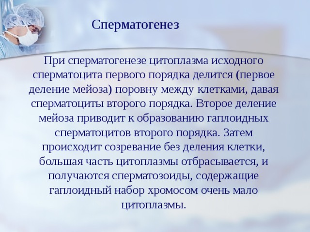Сперматогенез При сперматогенезе цитоплазма исходного сперматоцита первого порядка делится (первое деление мейоза) поровну между клетками, давая сперматоциты второго порядка. Второе деление мейоза приводит к образованию гаплоидных сперматоцитов второго порядка. Затем происходит созревание без деления клетки, большая часть цитоплазмы отбрасывается, и получаются сперматозоиды, содержащие гаплоидный набор хромосом очень мало цитоплазмы. 