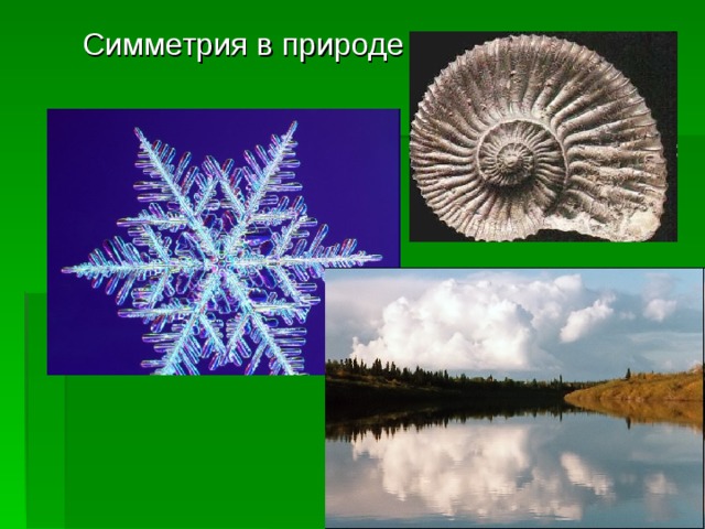 Симметрия в природе 