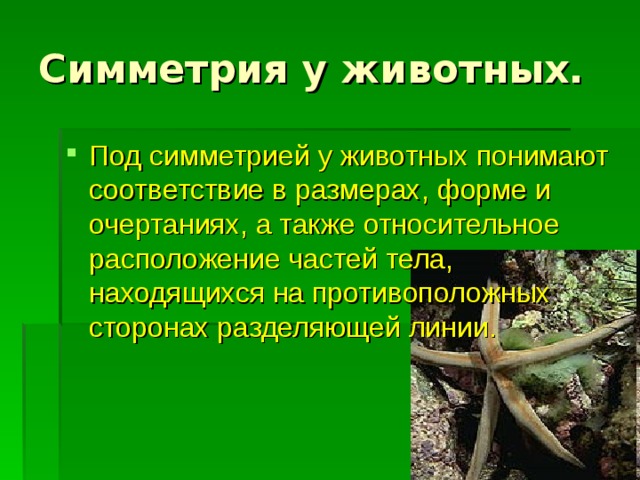 Симметрия у животных. Под симметрией у животных понимают соответствие в размерах, форме и очертаниях, а также относительное расположение частей тела, находящихся на противоположных сторонах разделяющей линии.  