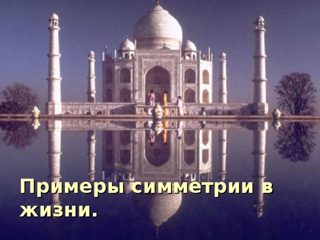 Примеры симметрии в жизни. 