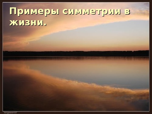Примеры симметрии в жизни. 