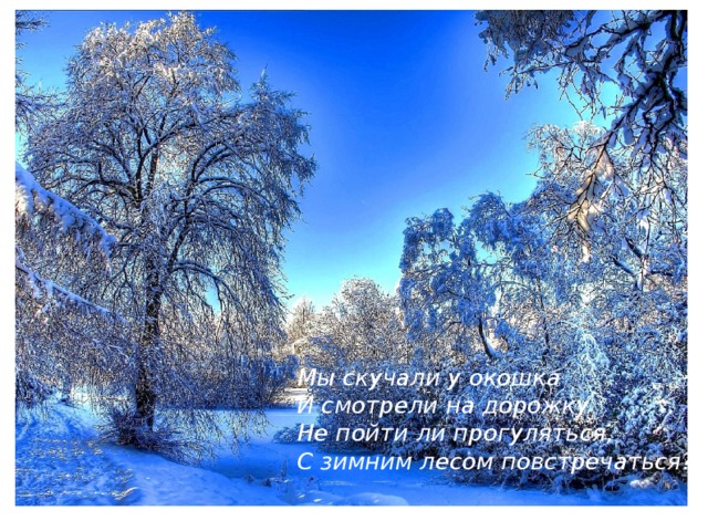 Мы скучали у окошка И смотрели на дорожку Не пойти ли прогуляться, С зимним лесом повстречаться? 