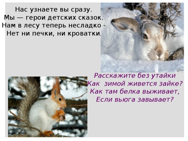 Нас узнаете вы сразу. Мы — герои детских сказок. Нам в лесу теперь несладко - Нет ни печки, ни кроватки . Расскажите без утайки Как зимой живется зайке? Как там белка выживает, Если вьюга завывает? 