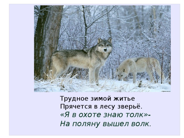 Трудное зимой житье Прячется в лесу зверьё. «Я в охоте знаю толк»- На поляну вышел волк . 