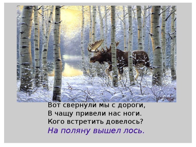 Вот свернули мы с дороги, В чащу привели нас ноги. Кого встретить довелось? На поляну вышел лось. 