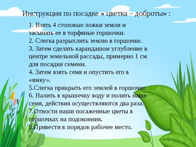 Инструкция по посадке « цветка – доброты» : 1. Взять 4 столовые ложки земли и засыпать ее в торфяные горшочки.  2. Слегка разрыхлить землю в горшочке.  3. Затем сделать карандашом углубление в центре земельной рассады, примерно 1 см для посадки семени.  4. Затем взять семя и опустить его в «ямку».  5.Слегка прикрыть его землей в горшочке.  6. Налить в крышечку воду и полить наше семя, действия осуществляются два раза.  7.Отности наши посаженные цветы в горшочках на подоконник.  8.Привести в порядок рабочее место. 
