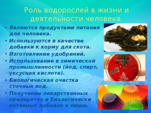  Роль водорослей в жизни и деятельности человека Являются продуктами питания для человека. Используются в качестве добавки к корму для скота. Изготовление удобрений. Использование в химической промышленности (йод, спирт, уксусная кислота). Биологическая очистка сточных вод. Получение лекарственных препаратов и биологически активных добавок к пище. 