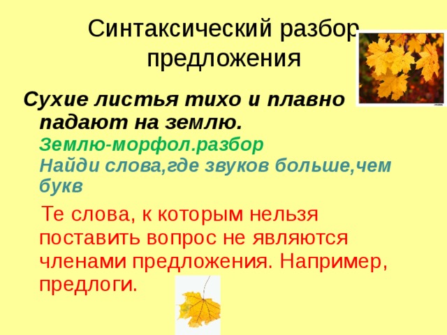 Синтаксический разбор предложения Сухие листья тихо и плавно падают на землю.  Землю-морфол.разбор  Найди слова,где звуков больше,чем букв  Те слова, к которым нельзя поставить вопрос не являются членами предложения. Например, предлоги. 