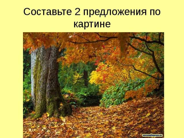 Составьте 2 предложения по картине 